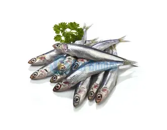 Alici ParBonus vendita pesce fresco a domicilio roma e provincia.