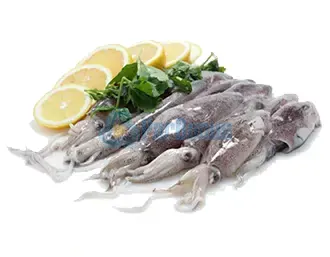 Calamari ParBonus vendita pesce fresco a domicilio roma e provincia.