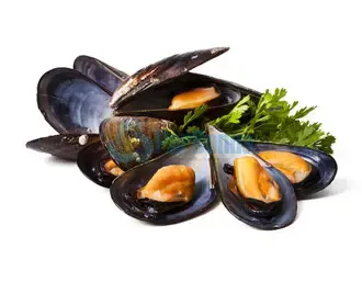 Cozze ParBonus vendita pesce fresco a domicilio roma e provincia.