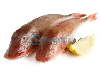 Gallinella ParBonus vendita pesce fresco a domicilio roma e provincia.