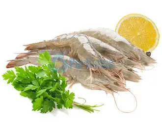 Gamberi_bianchi ParBonus vendita pesce fresco a domicilio roma e provincia.