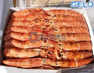 Gambero_Rosso_Terza ParBonus vendita pesce fresco a domicilio roma e provincia.