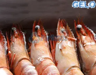 Mazzancolla_Ecuador_60_70 ParBonus vendita pesce fresco a domicilio roma e provincia.