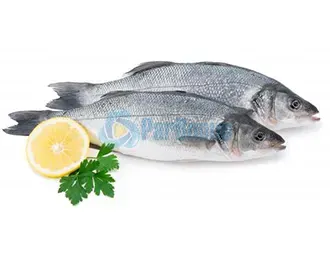 Ombrina ParBonus vendita pesce fresco a domicilio roma e provincia.