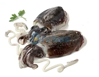 Seppia_nera ParBonus vendita pesce fresco a domicilio roma e provincia.
