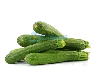 Zucchine_verdi_Sicilia ParBonus vendita pesce fresco a domicilio roma e provincia.